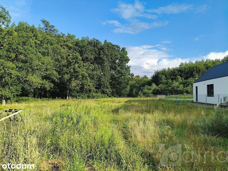 Tanowo – 2440 m2 działka uzbrojona przy lesie