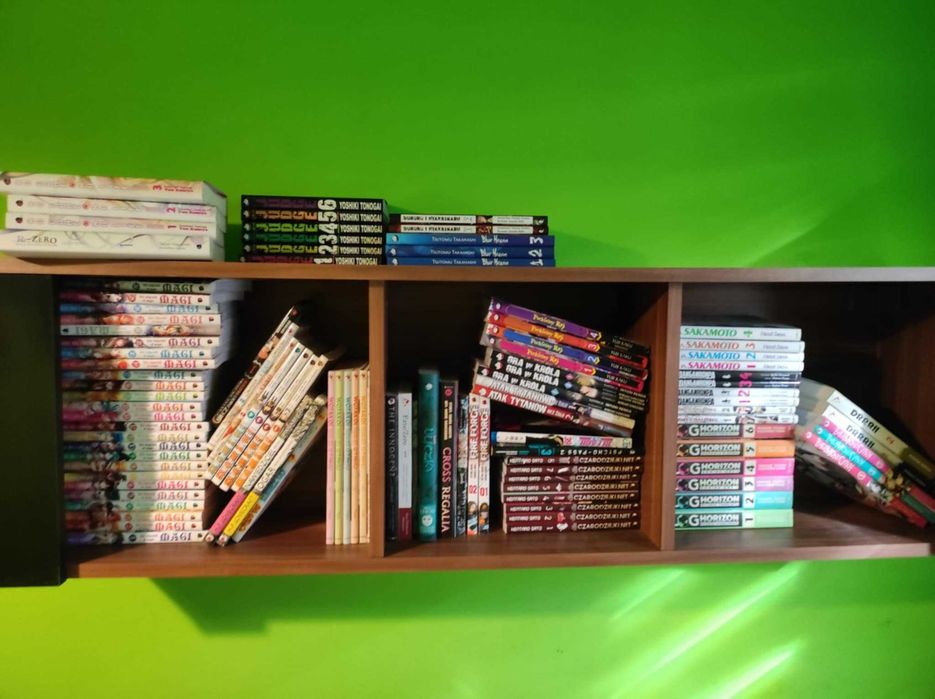 Kolekcja mangi/light novel