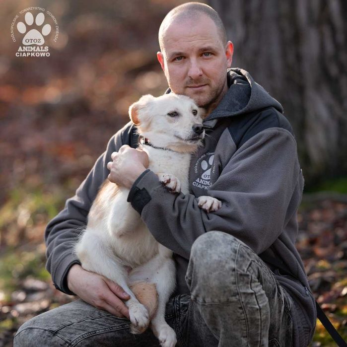 Nieśmiała Lola czeka na dom! OTOZ Animals Schronisko Ciapkowo