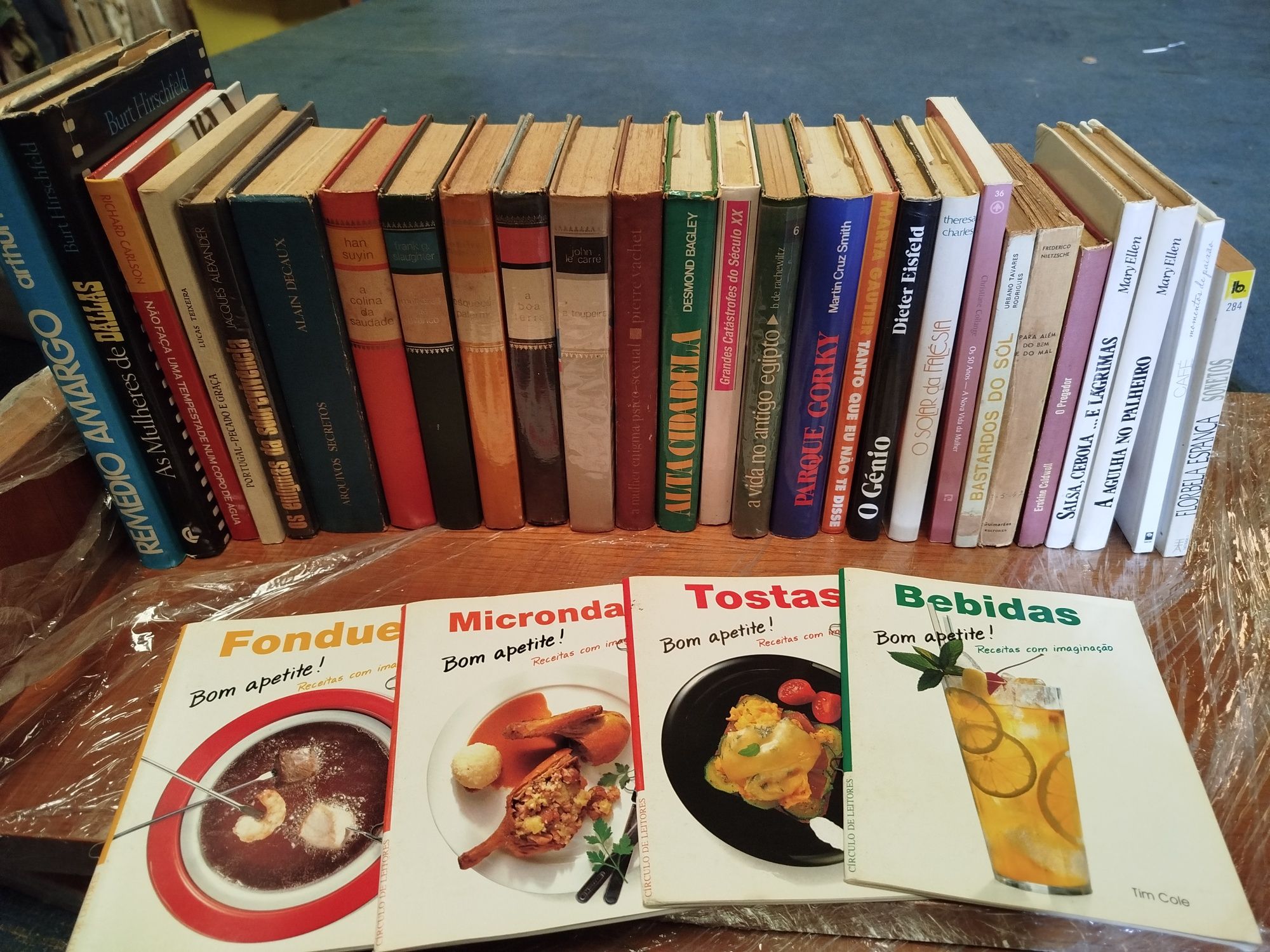 Livros sortidos ( desocupar)