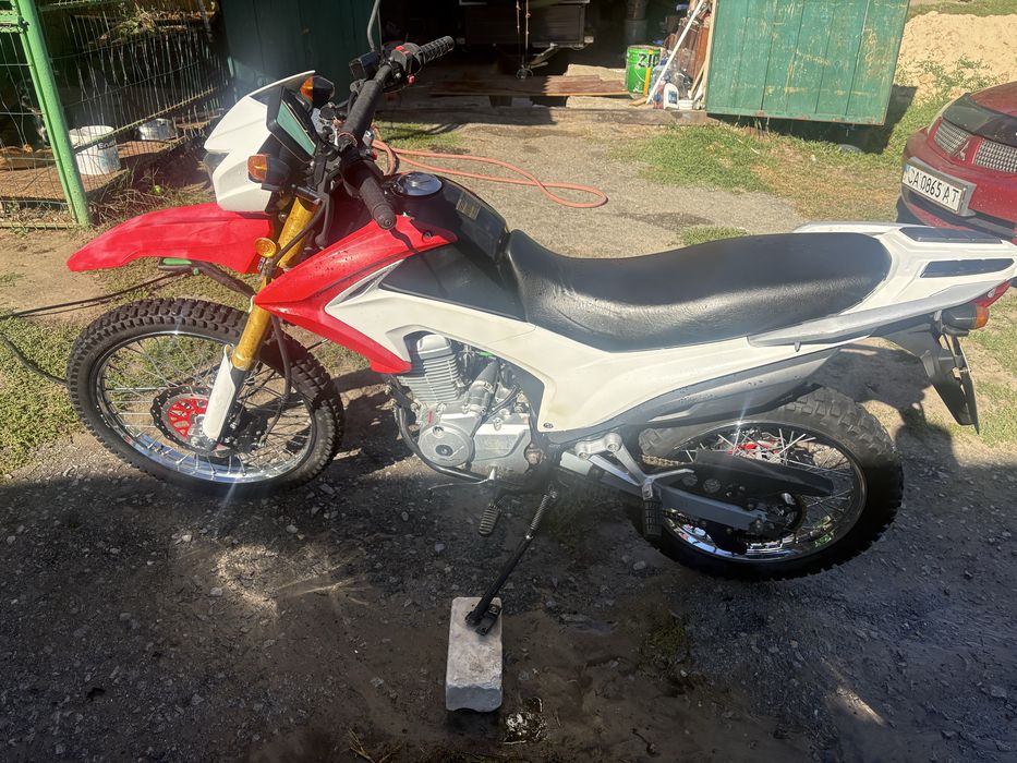 Продам надійного ,живого Geona