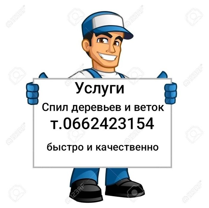 Предоставляем Услуги Спилу веток деревьев