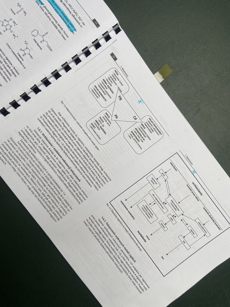 Podręcznik labolatoryjny z chemii medycznej