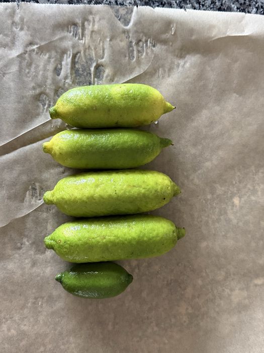 Limão Caviar produção nacional