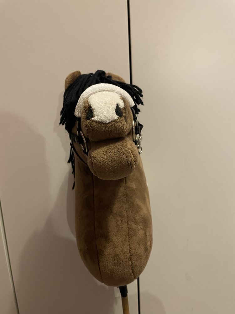 Konik na kiju. Hobby horse