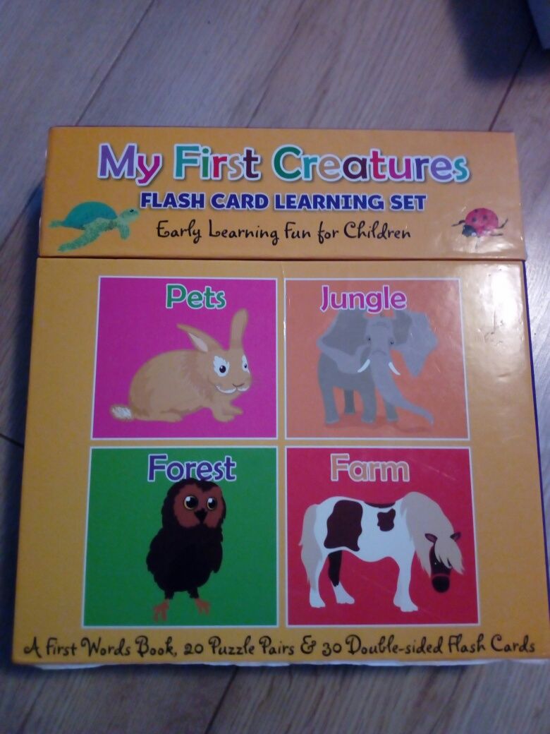 My first creatures flash card angielski karty do nauki angielskiego