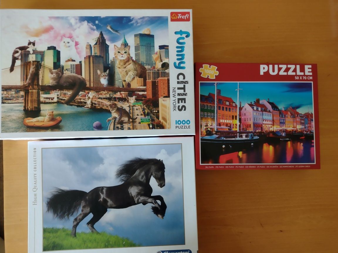 Puzzle 2x1000 1x500