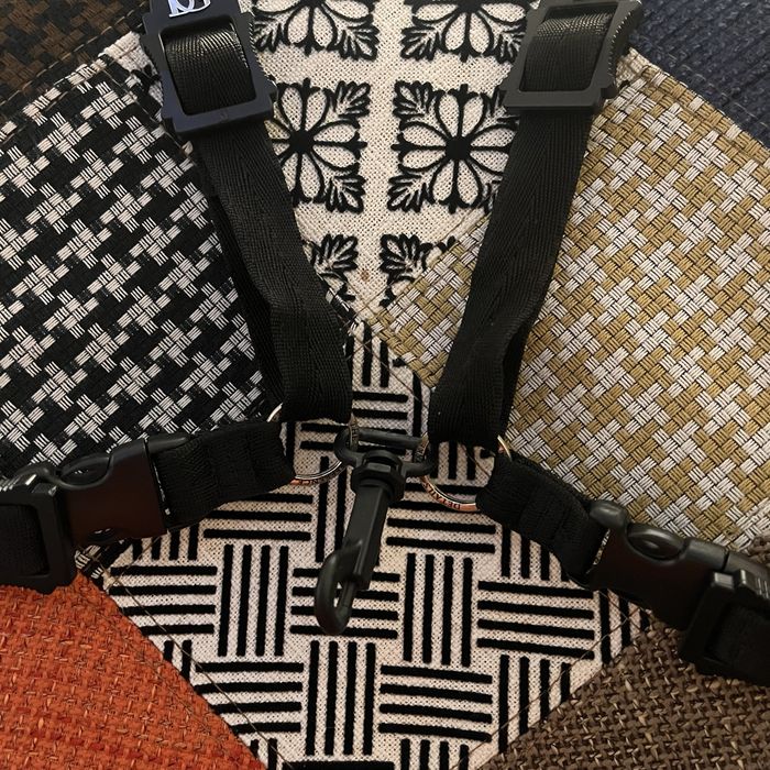 correia saxofone alto BG france lady S41Sh