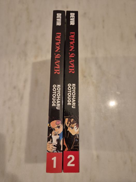 Lote 2 livros Demon Slayer