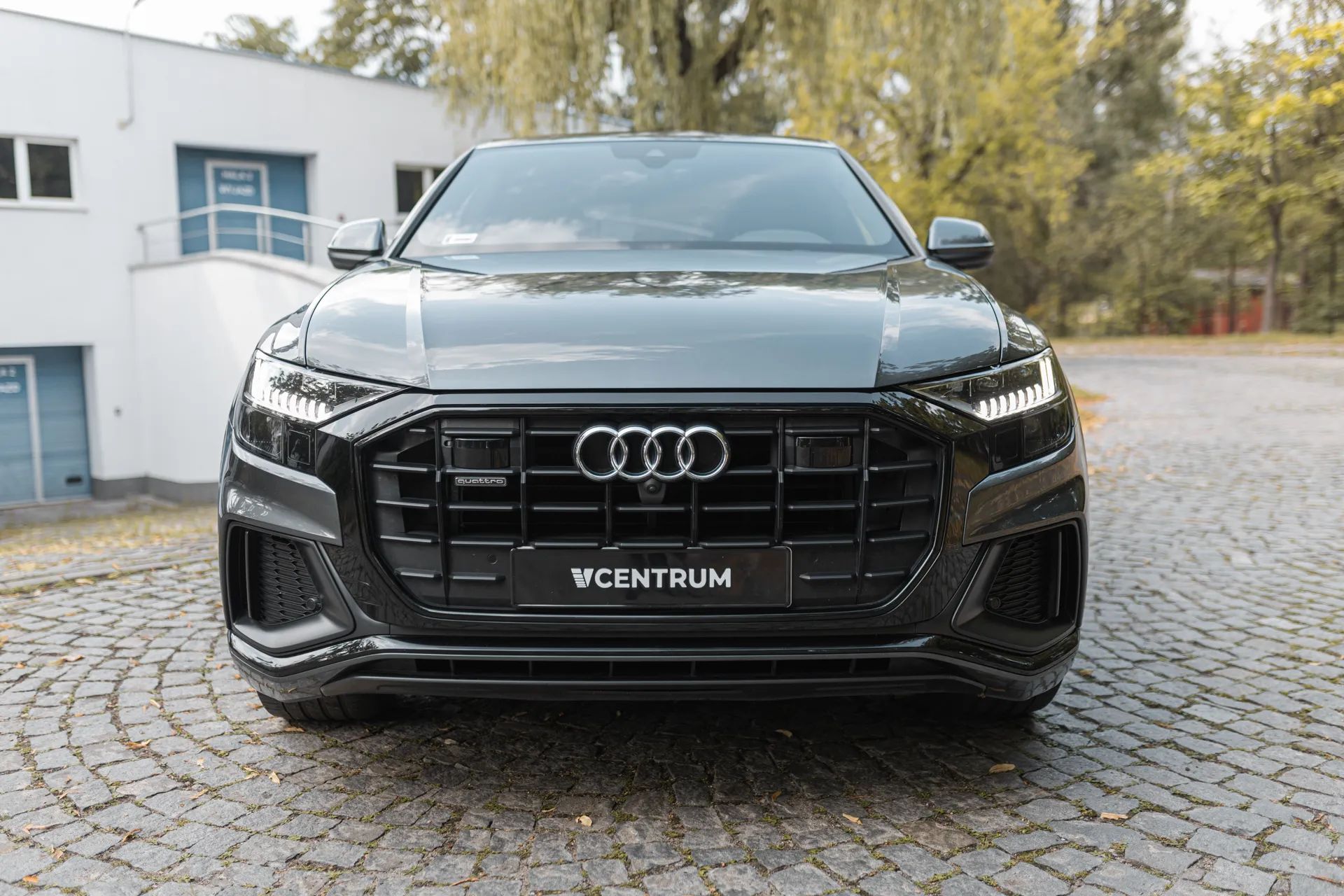 Audi Q8 Audi Q8 3.0 TDI Quattro Tiptronic, bezwypadkowy, 1Właściciel, S-Line