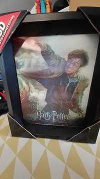 Quandro 3D Harry Potter