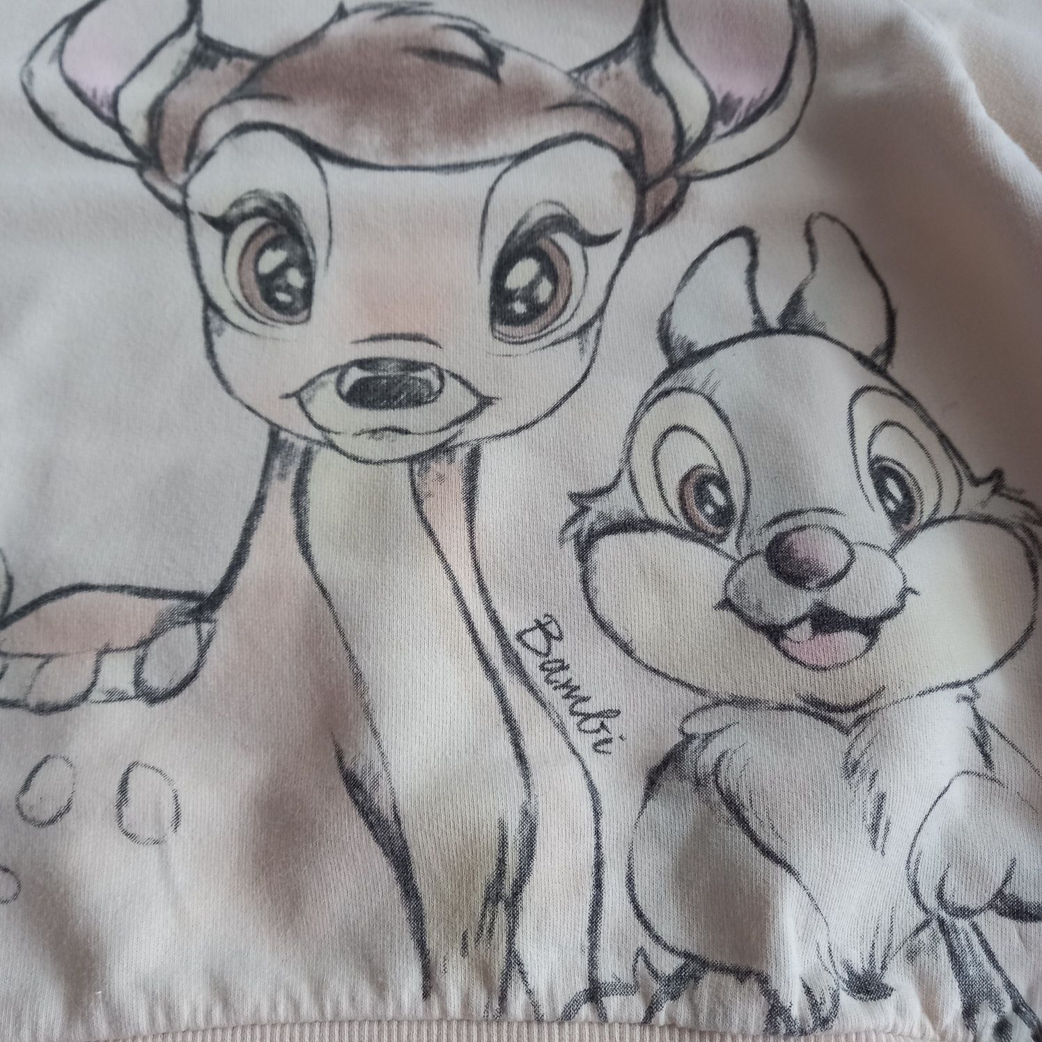 Dresik, komplet dziewczęcy, Bambi, rozmiar 110