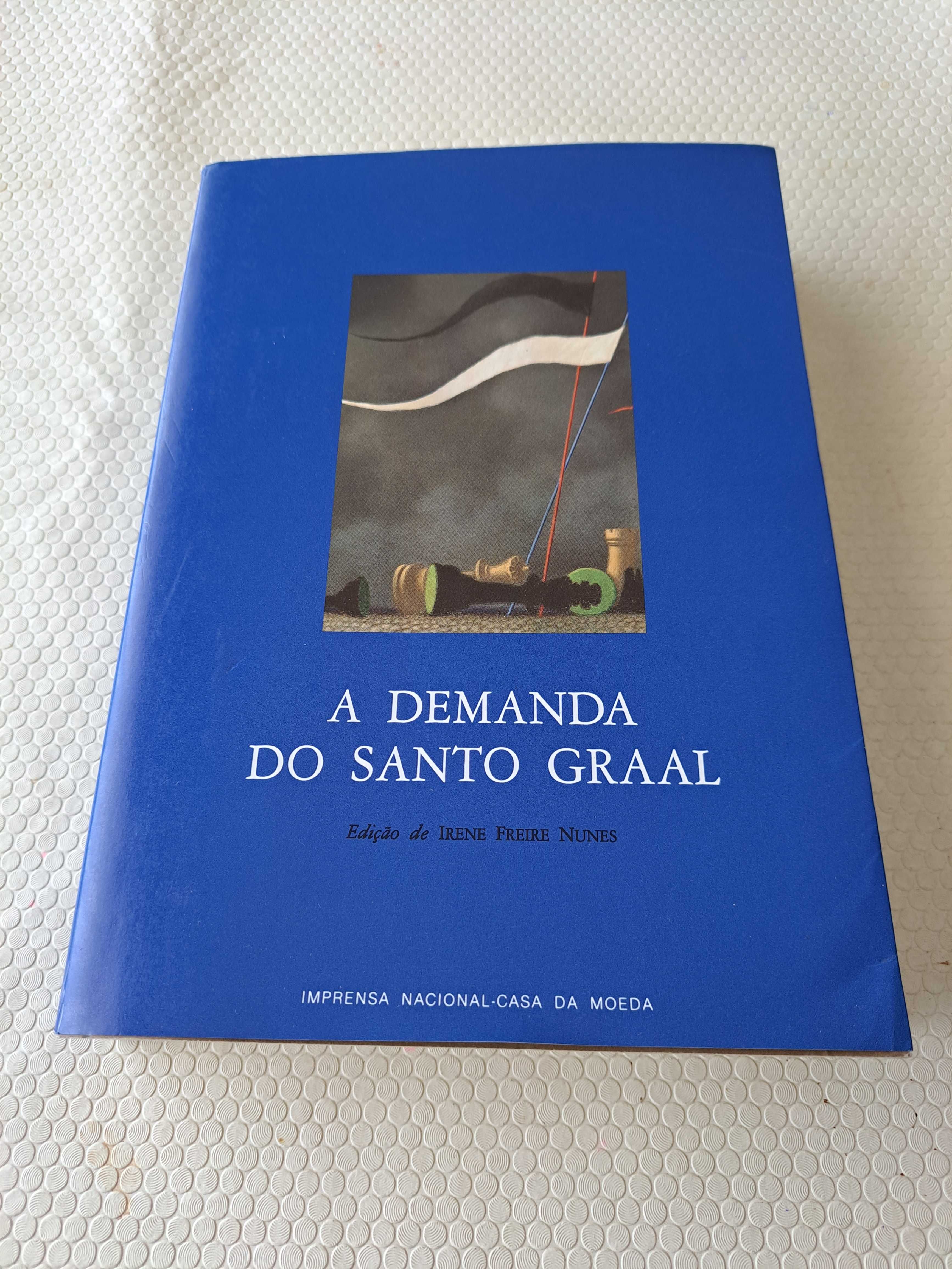 A Demanda do Santo Graal - Edição de Irene Freire Nunes - INCM