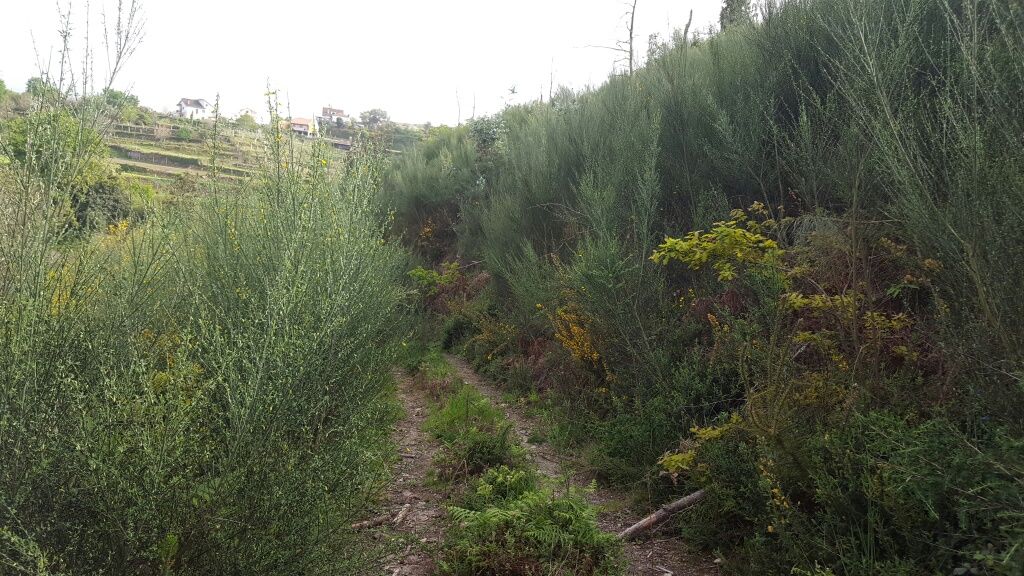 Terreno urbanizável, agrícola e florestal em Monção