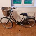 Rower damka Pashley