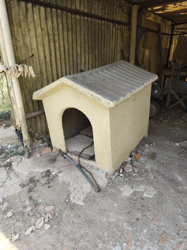 Casota para cão usada