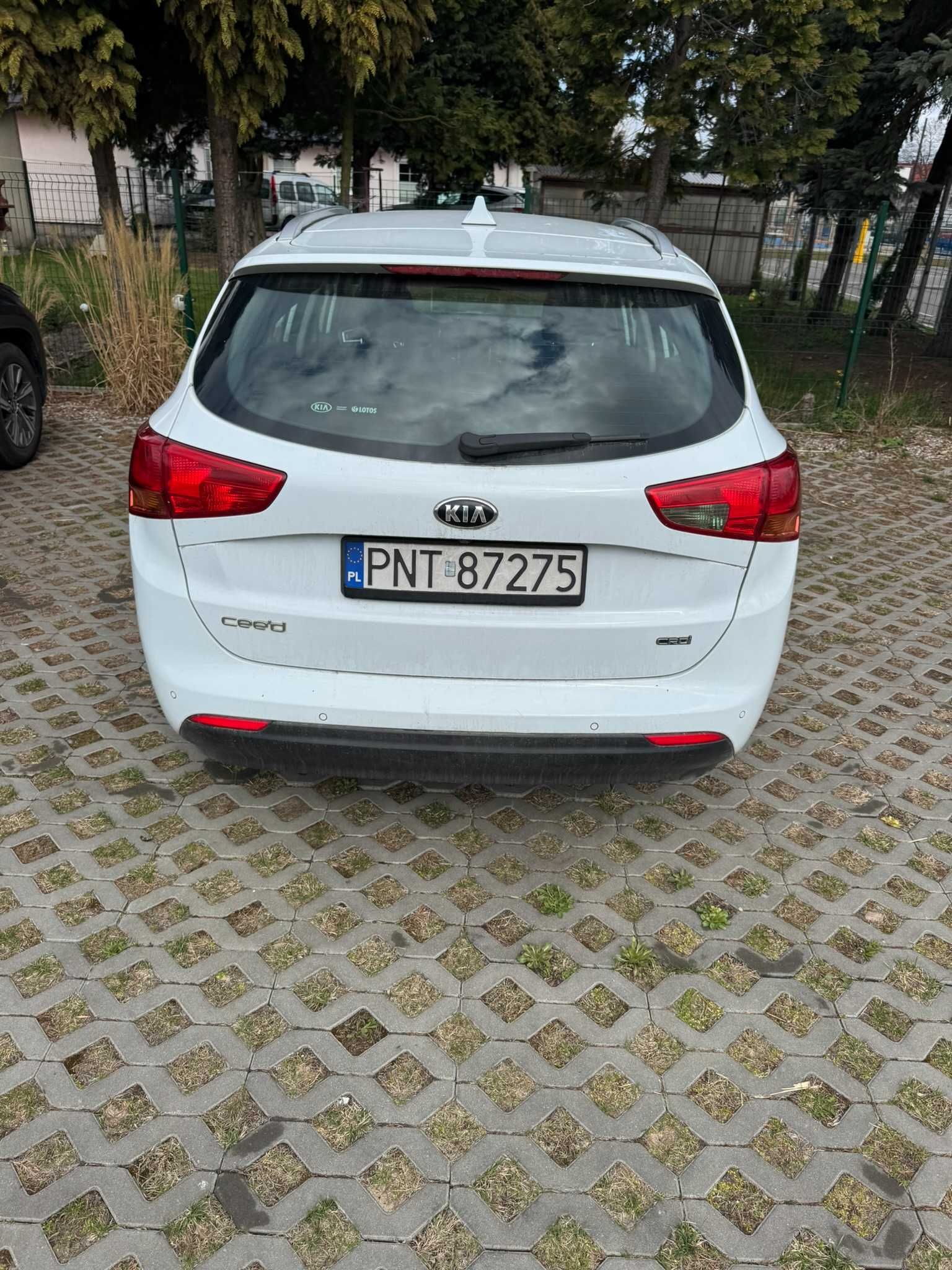 KIA CEED KOMBI 1.6D Polski Salon , Automat , Faktura