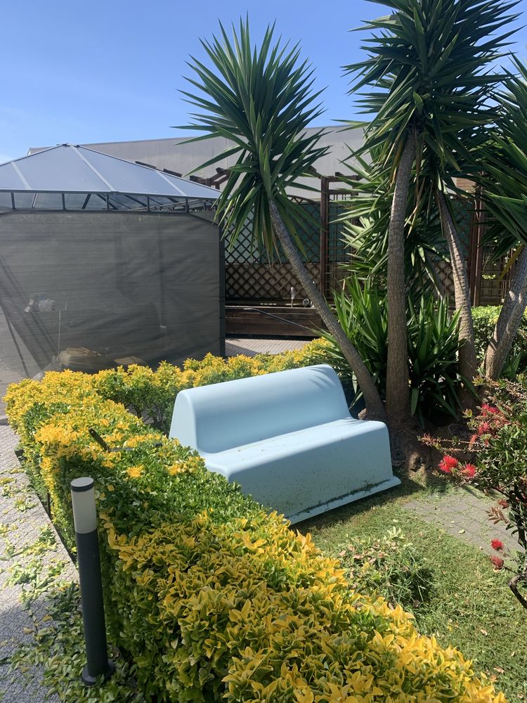 Servico jardinagem