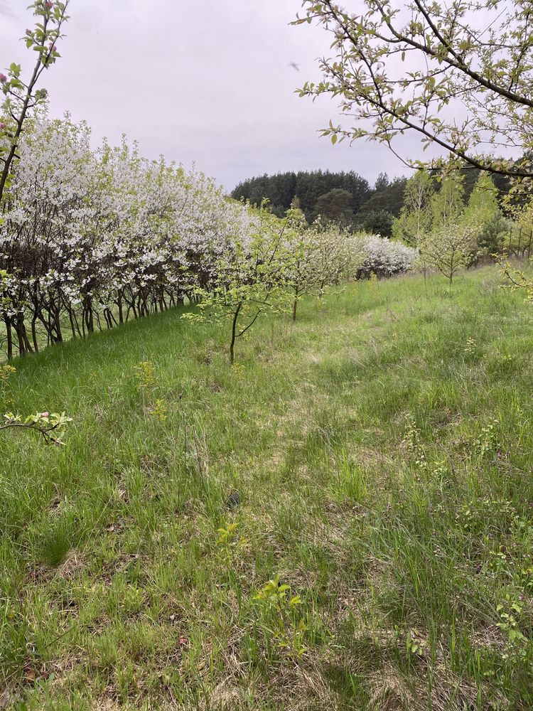 Продам,здам дім бііля річки та лісу в Городниці.