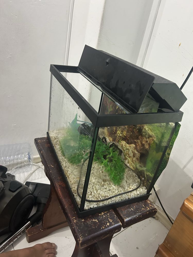 Aquario 14 litros