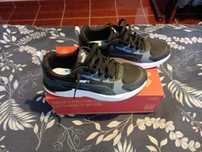 Puma X-ray NOVOS