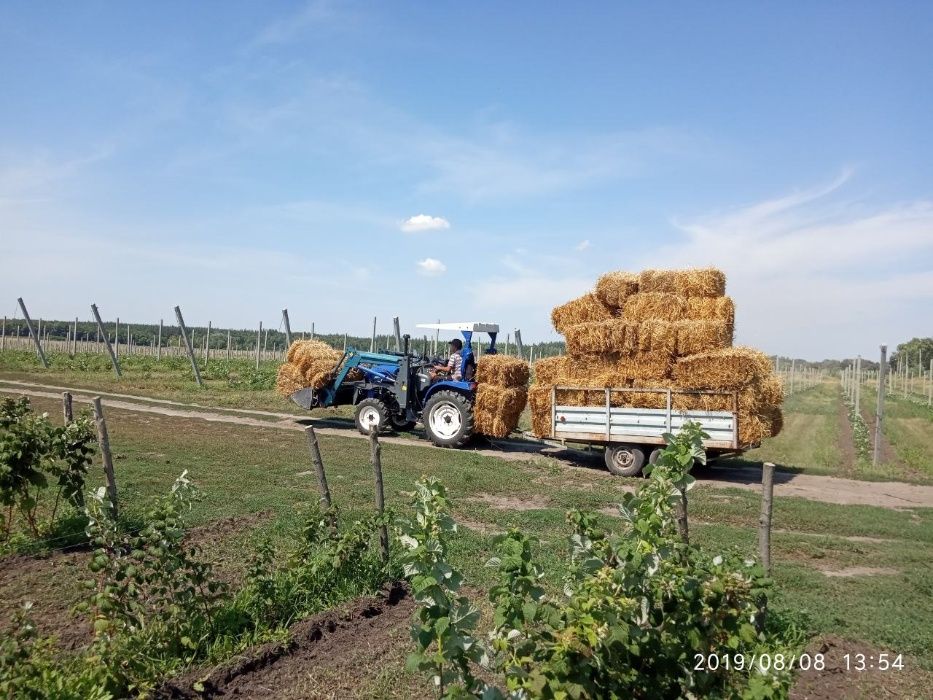 Солома ржаная в тюках (органическая)!