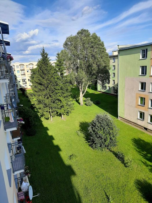 Poszukujemy współlokatora/współlokatorki