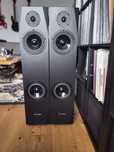 Kolumny Pylon Sapphire 25 orzech