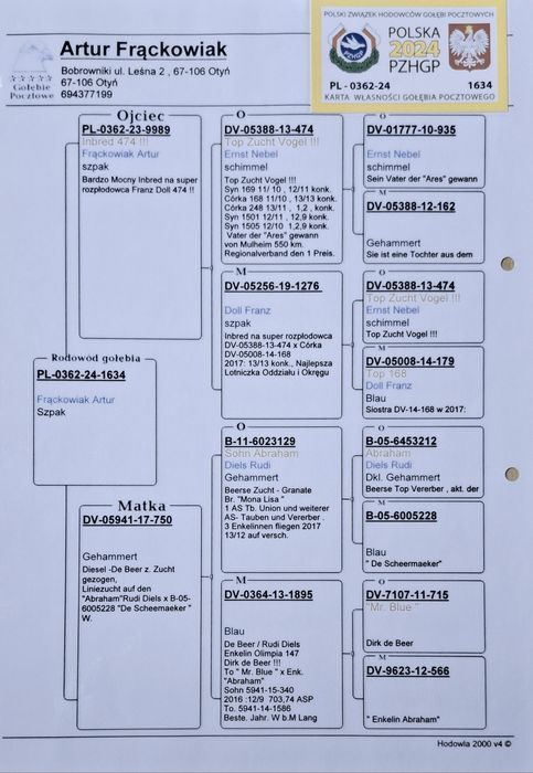 Gołąb pocztowy Samica Artur Frackowiak,, Super Top,, 474,,