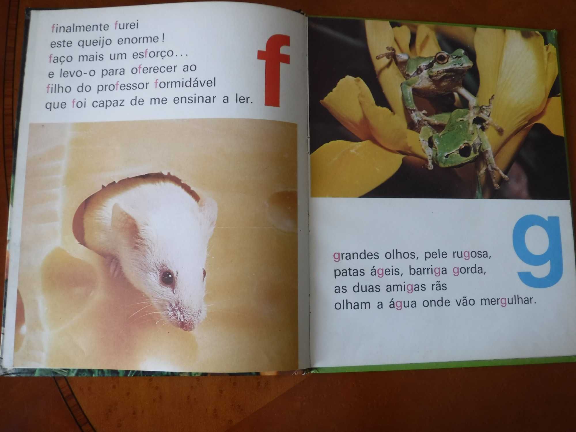 ABC dos Animais Familiares - Para aprender as letras e a ler - 1979