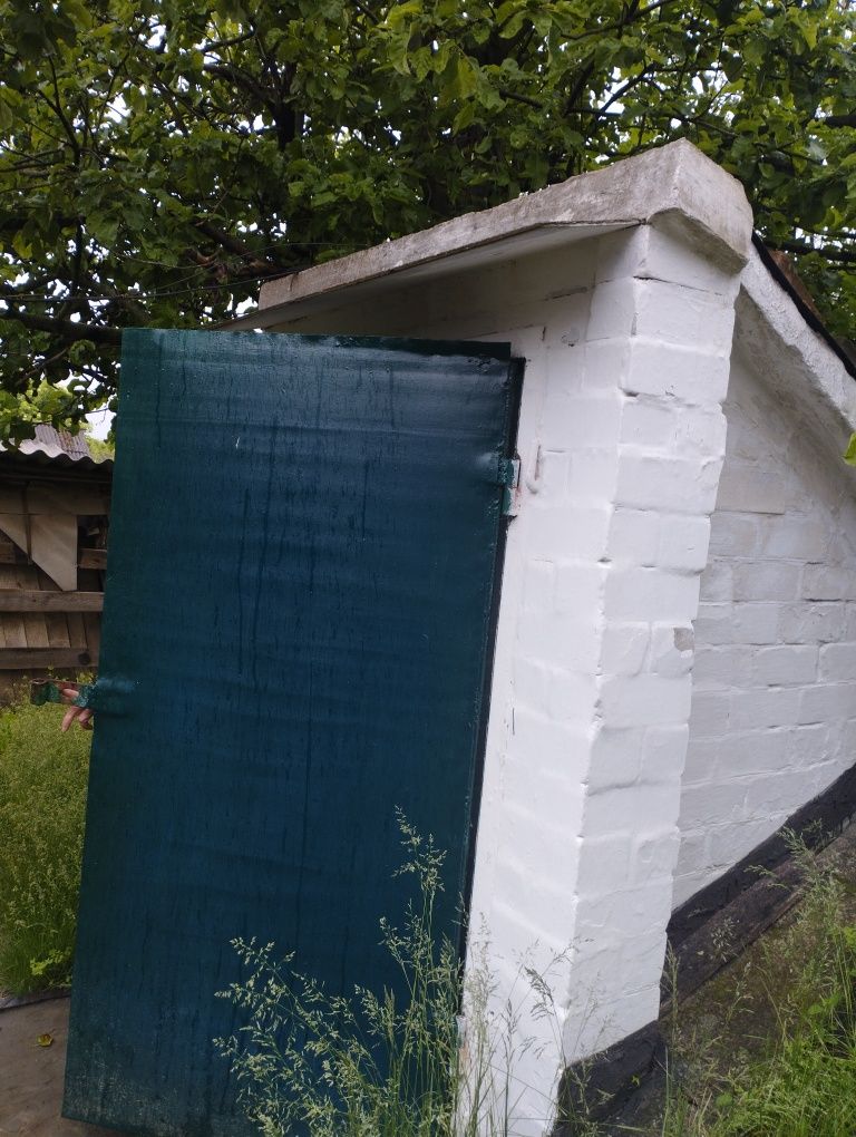 Продаж добротного будинку с. Балаклея
