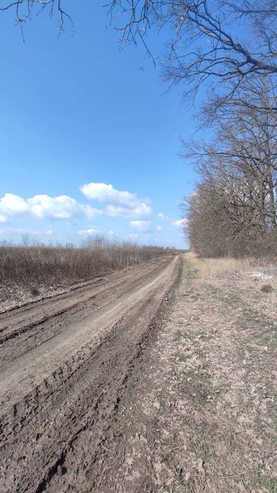 Продам ділянку в Агрономічному 3030