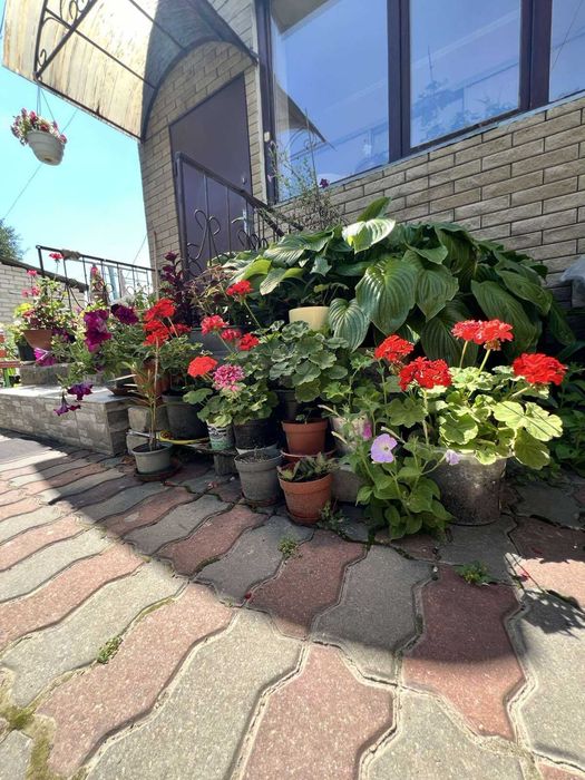 Простора 3-кімнатна квартира з окремим входом та власним двориком.