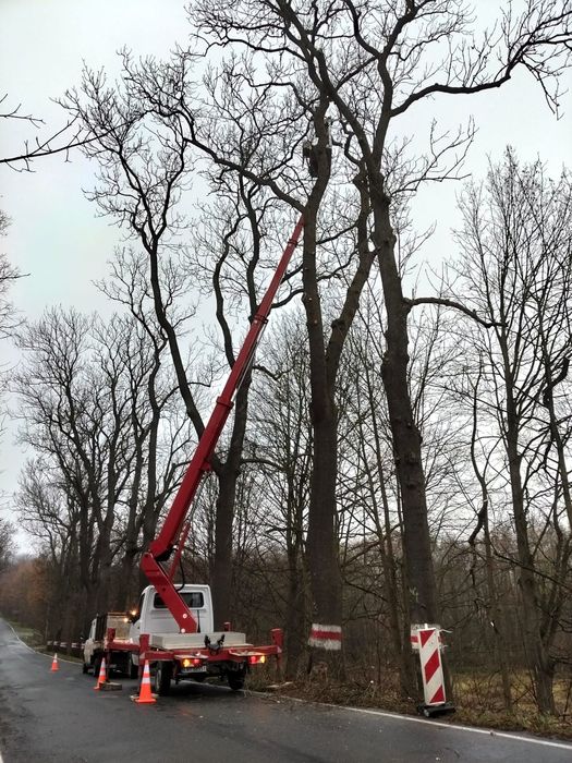 Podnośnik koszowy zwyżka wycinka drzew dostępny 24/7