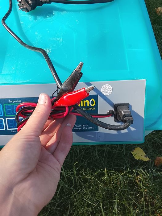 Inkubator do jaj