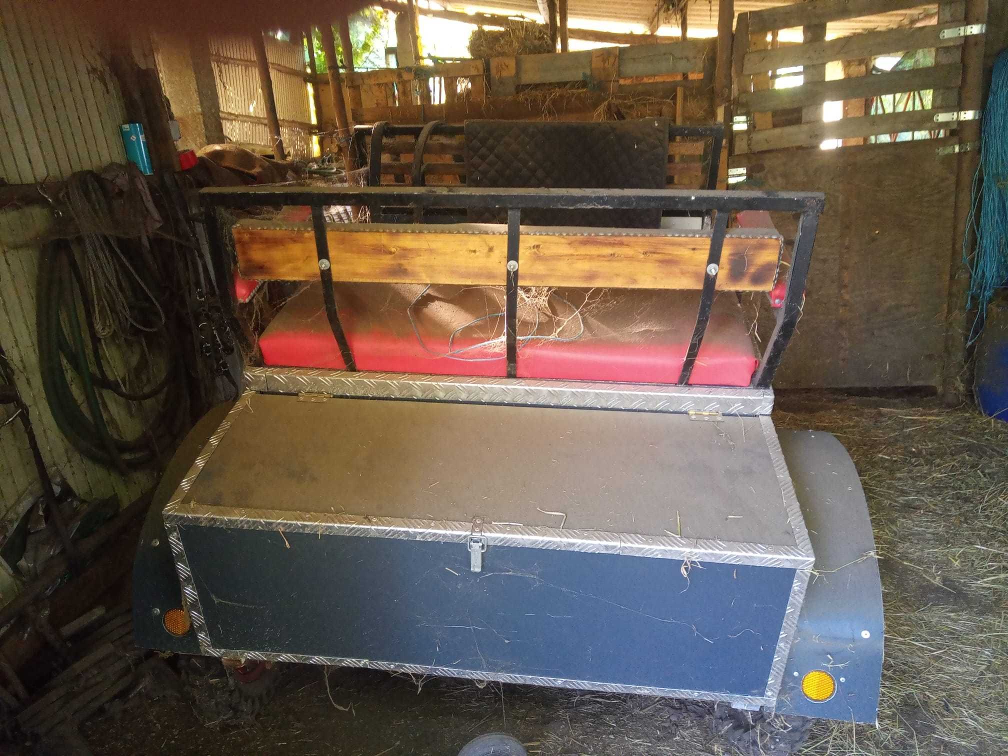 Carroça de cavalos