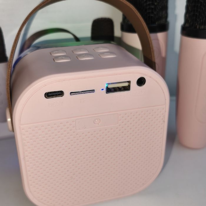 Портативна Bluetooth колонка-караоке із двома мікрофонами