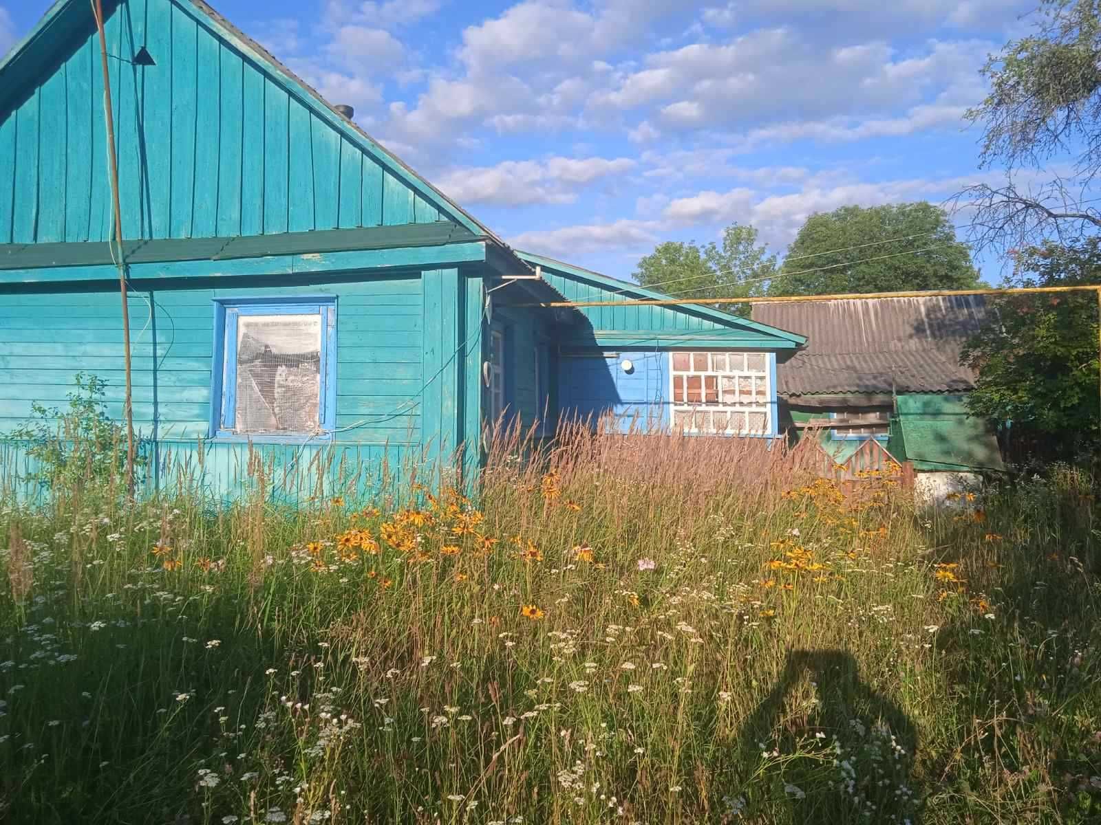 Продам будинок в с. Васьковичі