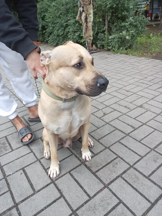 Шукаю дівчинку для в,зки