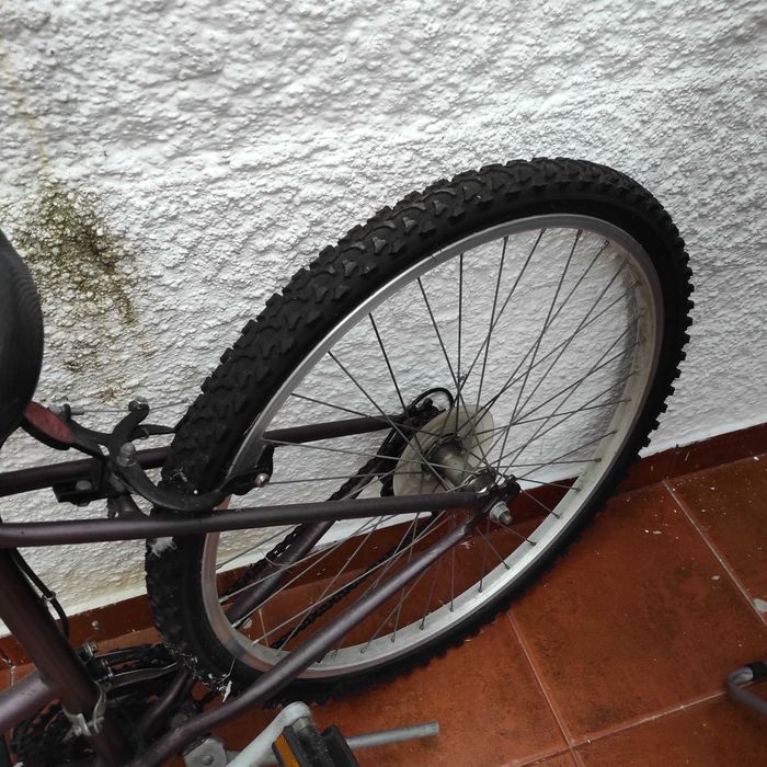 Bicicleta ideal para passeio