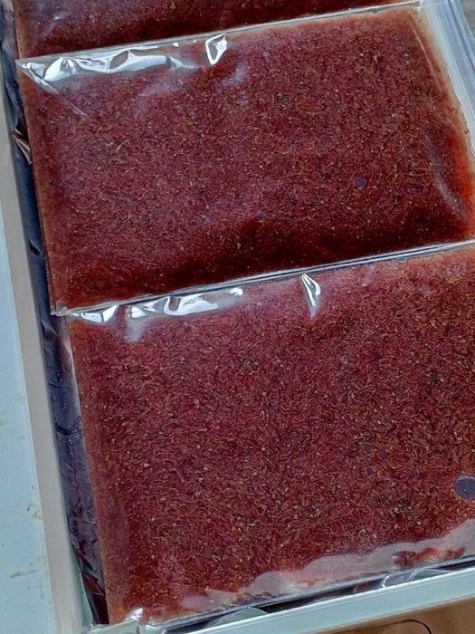 Замороженый корм , артемия рачки, артемія м'ясо