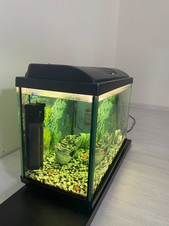 аквариум на 80 литров