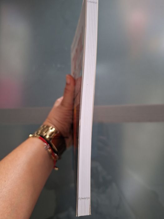 Livro Capital  Intelectual  e o Desempenho  Organizacional