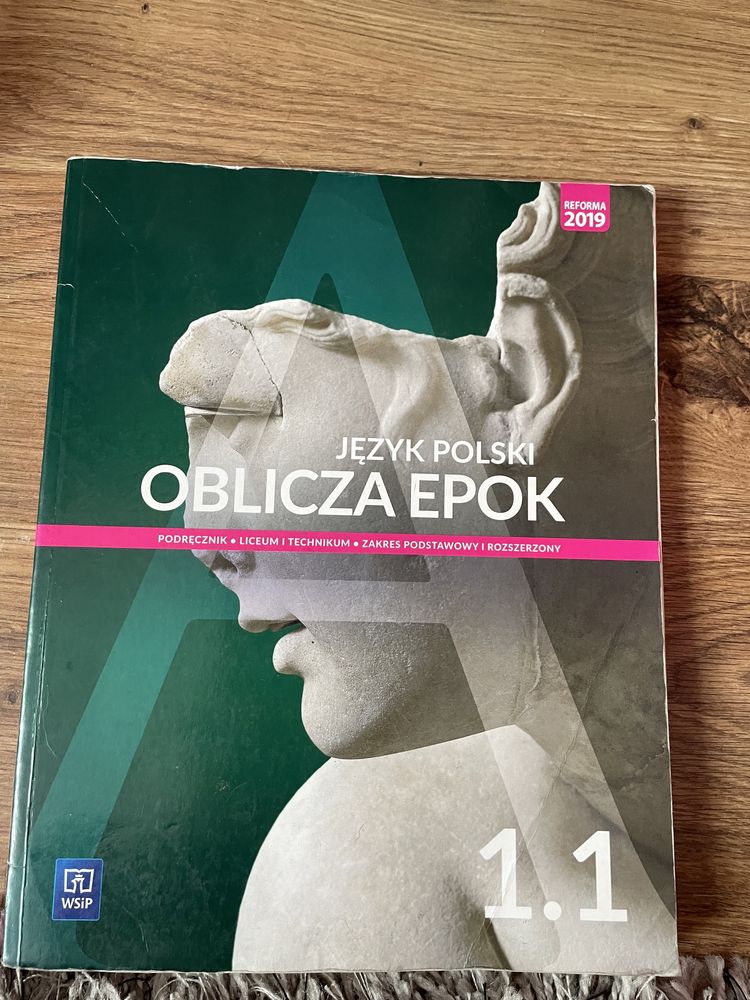 Język Polski oblicza epok 1.1 WSiP