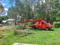 Wynajem/Usługi rębakiem Wycinka drzew Podnośnik koszowy 22m