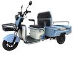 Електротрицикл Вантажний Forsage Moto CARGO 1000W (60V20A)