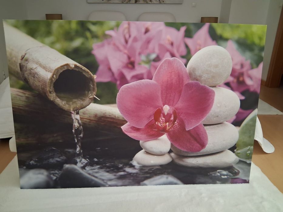 Tela quadro lindíssimo