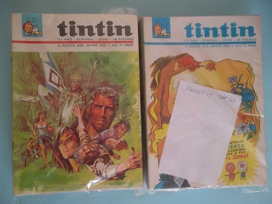 TINTIN - Vários anos e semestres completos!!