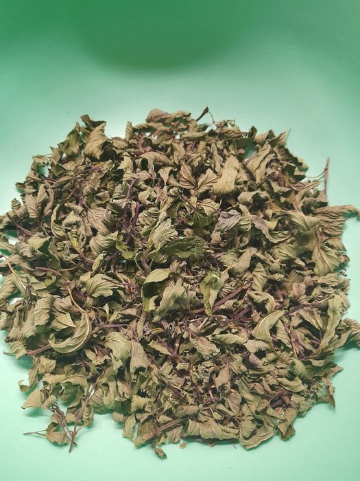 Hortelã-chocolate seca para chá