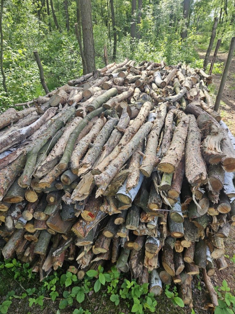 sprzedam drewno opałowe